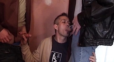 Damon Dogg - Call Of Booty